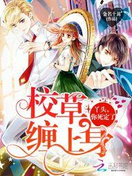 白月光的照耀下一句是什么